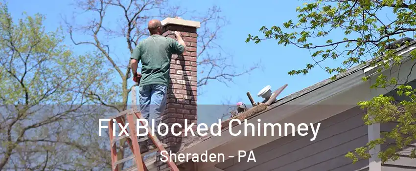 Fix Blocked Chimney Sheraden - PA