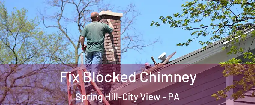 Fix Blocked Chimney Spring Hill-City View - PA
