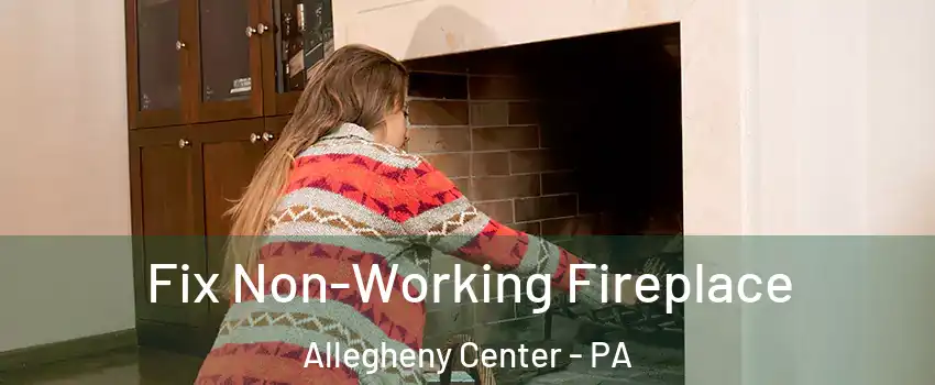 Fix Non-Working Fireplace Allegheny Center - PA