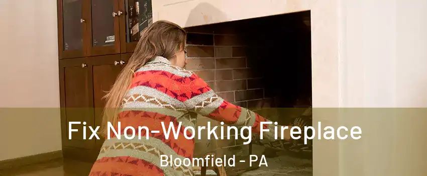 Fix Non-Working Fireplace Bloomfield - PA