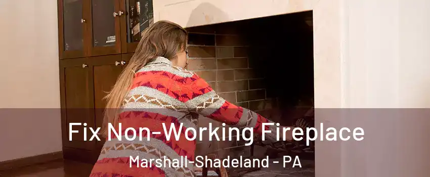 Fix Non-Working Fireplace Marshall-Shadeland - PA