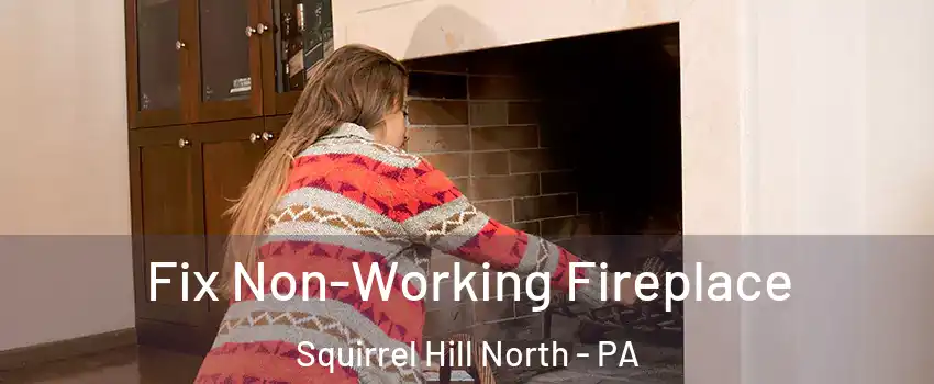 Fix Non-Working Fireplace Squirrel Hill North - PA