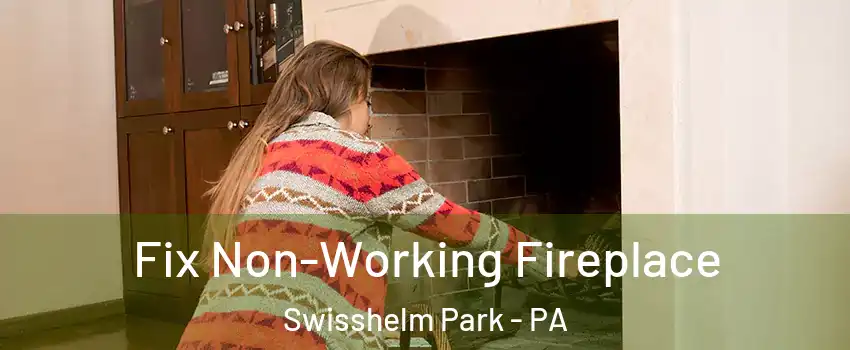 Fix Non-Working Fireplace Swisshelm Park - PA