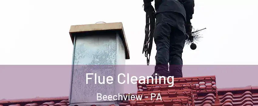 Flue Cleaning Beechview - PA
