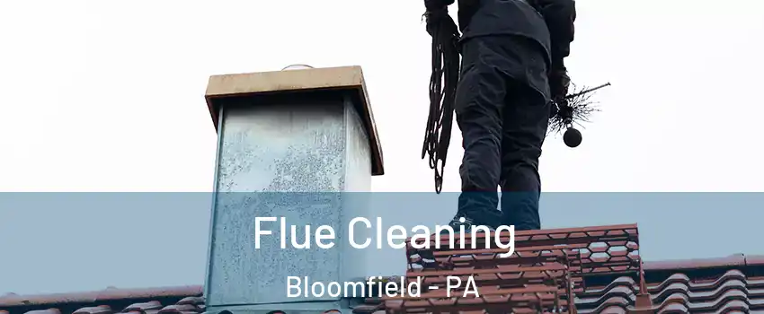 Flue Cleaning Bloomfield - PA