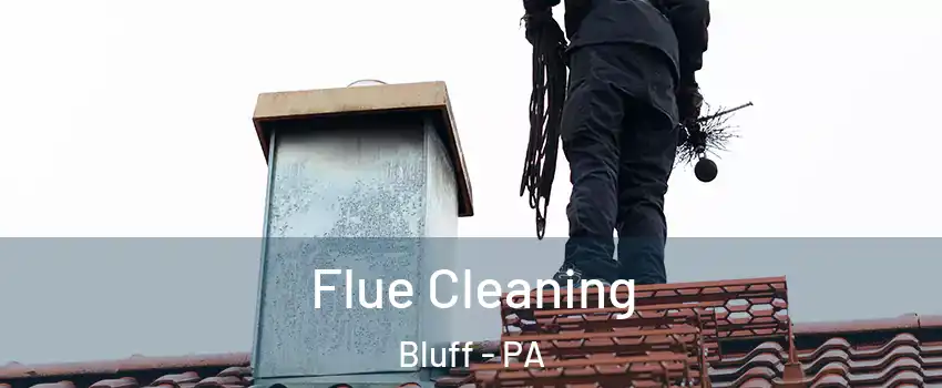 Flue Cleaning Bluff - PA