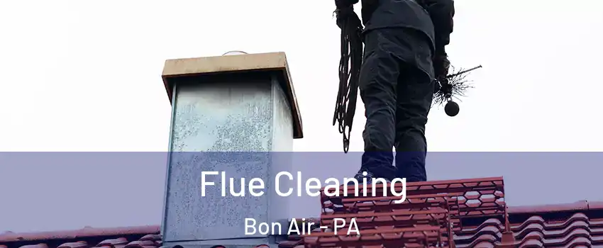 Flue Cleaning Bon Air - PA