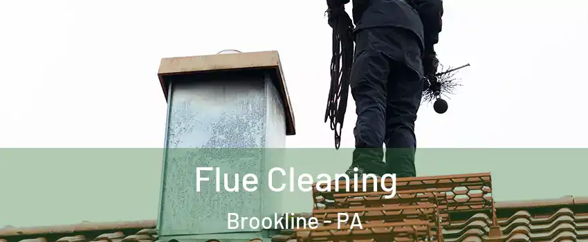 Flue Cleaning Brookline - PA