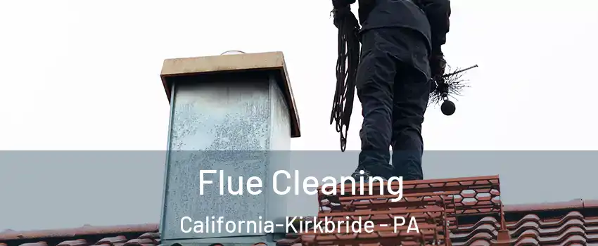 Flue Cleaning California-Kirkbride - PA
