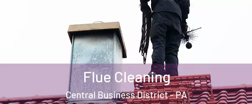 Flue Cleaning Central Business District - PA