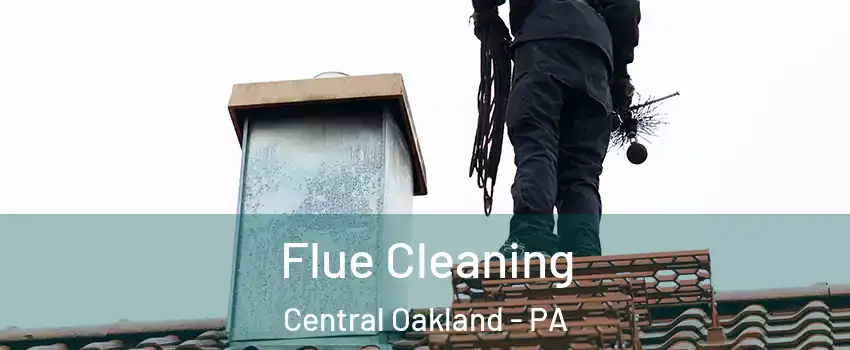 Flue Cleaning Central Oakland - PA