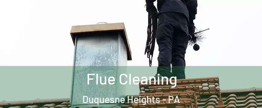 Flue Cleaning Duquesne Heights - PA