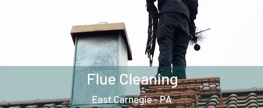 Flue Cleaning East Carnegie - PA