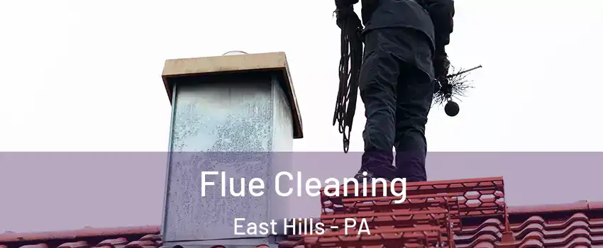 Flue Cleaning East Hills - PA
