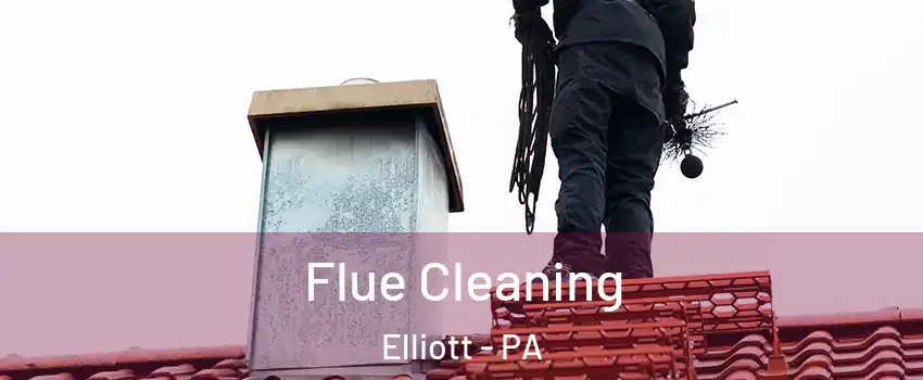 Flue Cleaning Elliott - PA