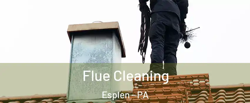 Flue Cleaning Esplen - PA