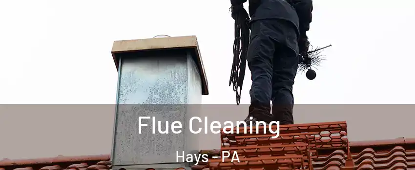 Flue Cleaning Hays - PA