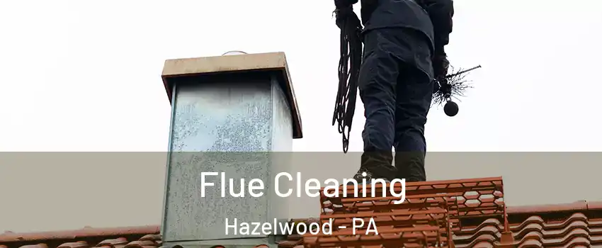 Flue Cleaning Hazelwood - PA