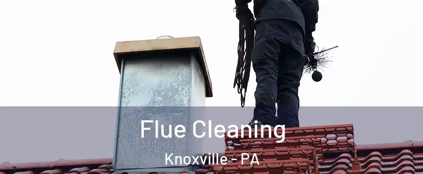 Flue Cleaning Knoxville - PA