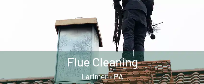 Flue Cleaning Larimer - PA