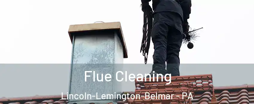 Flue Cleaning Lincoln-Lemington-Belmar - PA