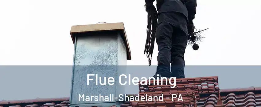 Flue Cleaning Marshall-Shadeland - PA