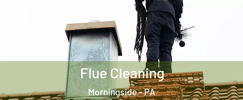 Flue Cleaning Morningside - PA