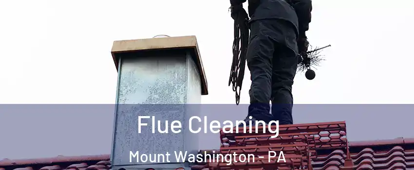 Flue Cleaning Mount Washington - PA