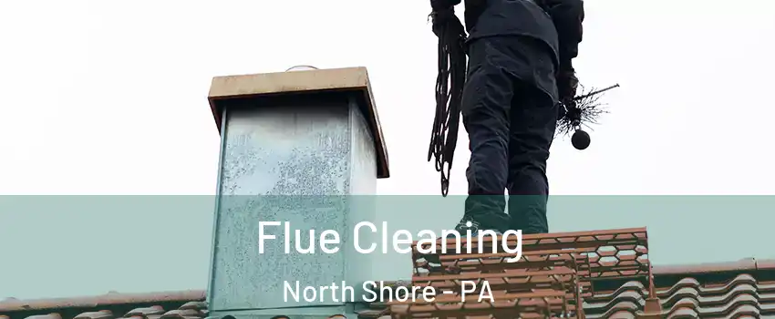 Flue Cleaning North Shore - PA