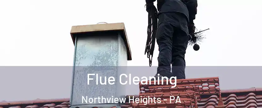 Flue Cleaning Northview Heights - PA