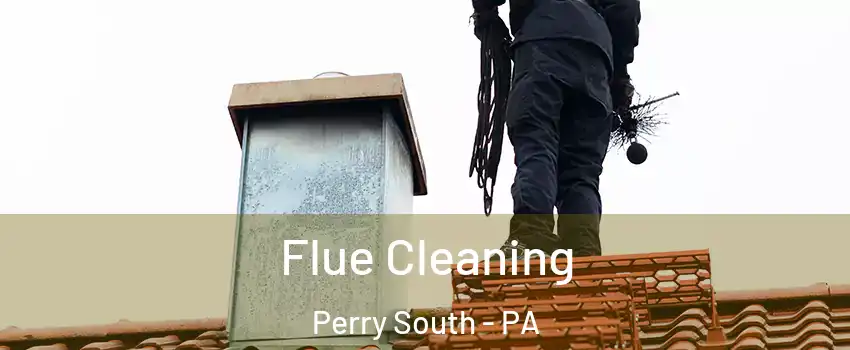 Flue Cleaning Perry South - PA