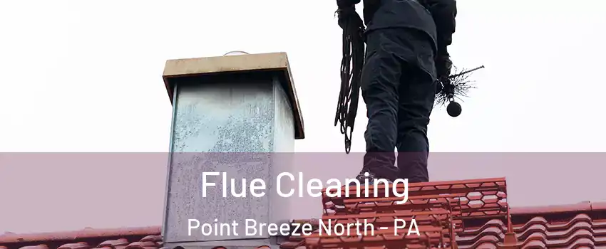 Flue Cleaning Point Breeze North - PA