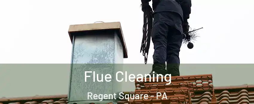 Flue Cleaning Regent Square - PA