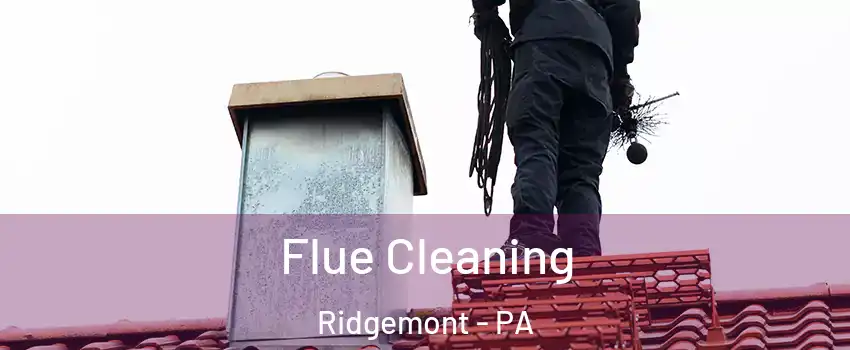 Flue Cleaning Ridgemont - PA