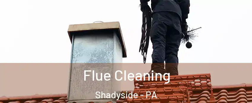 Flue Cleaning Shadyside - PA