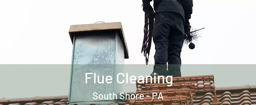 Flue Cleaning South Shore - PA