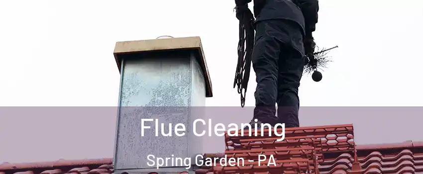 Flue Cleaning Spring Garden - PA