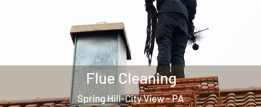 Flue Cleaning Spring Hill-City View - PA