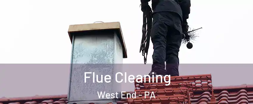 Flue Cleaning West End - PA