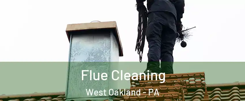 Flue Cleaning West Oakland - PA