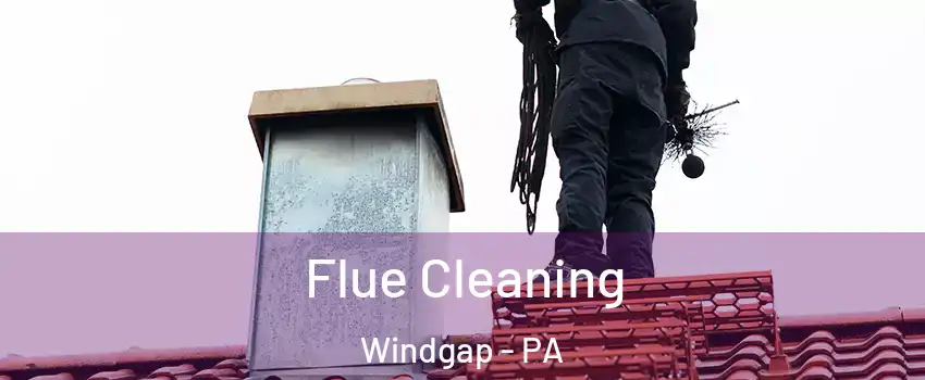 Flue Cleaning Windgap - PA