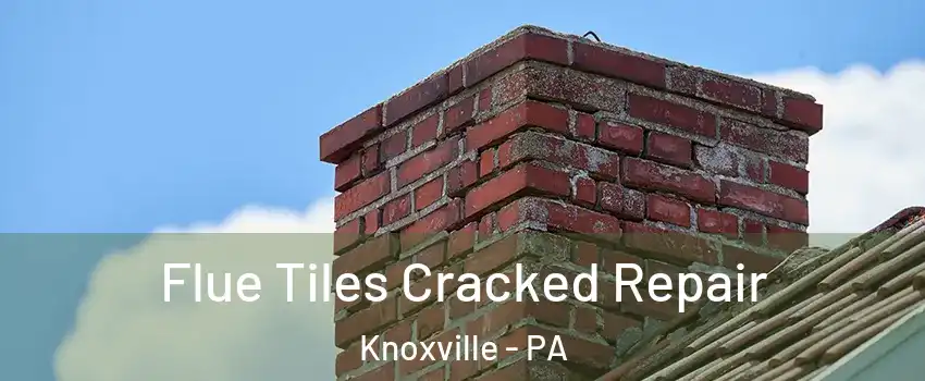 Flue Tiles Cracked Repair Knoxville - PA