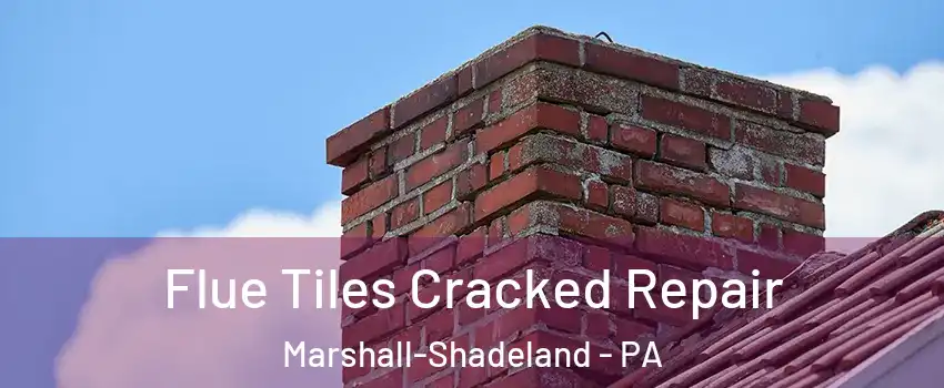 Flue Tiles Cracked Repair Marshall-Shadeland - PA