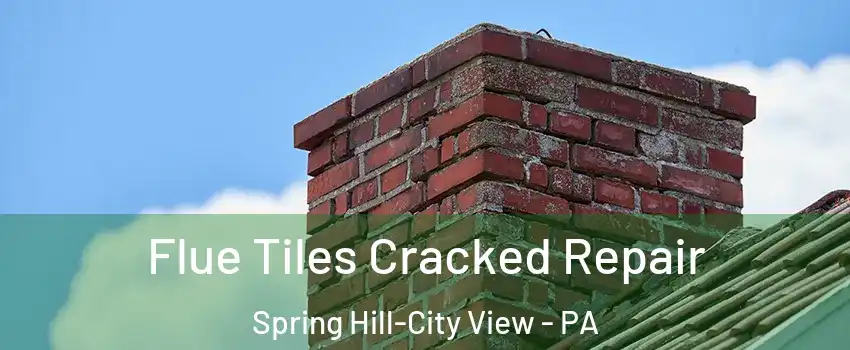 Flue Tiles Cracked Repair Spring Hill-City View - PA