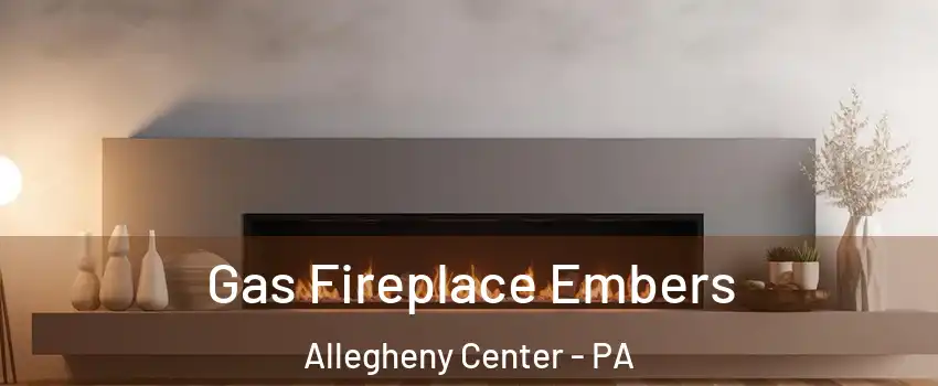 Gas Fireplace Embers Allegheny Center - PA