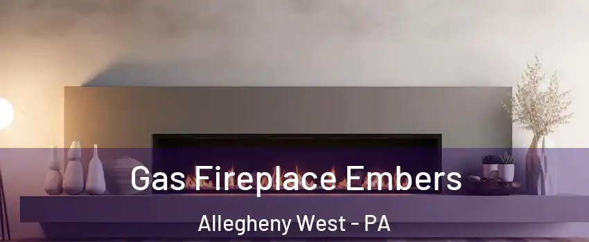 Gas Fireplace Embers Allegheny West - PA