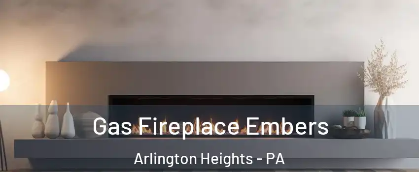Gas Fireplace Embers Arlington Heights - PA
