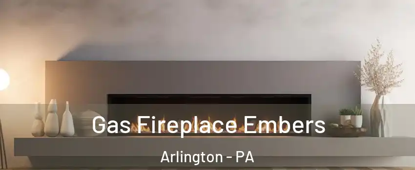 Gas Fireplace Embers Arlington - PA