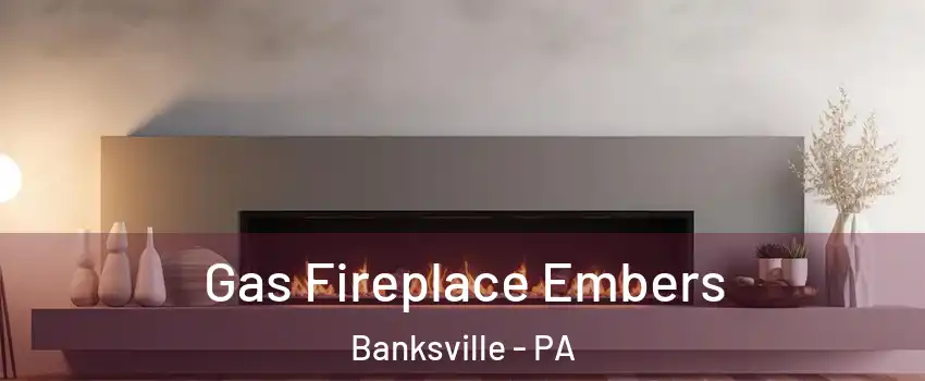 Gas Fireplace Embers Banksville - PA