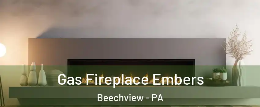 Gas Fireplace Embers Beechview - PA